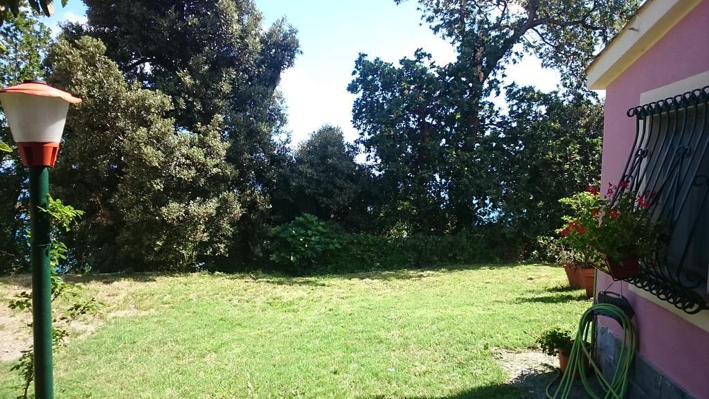 Villa Venino Moneglia Eksteriør billede