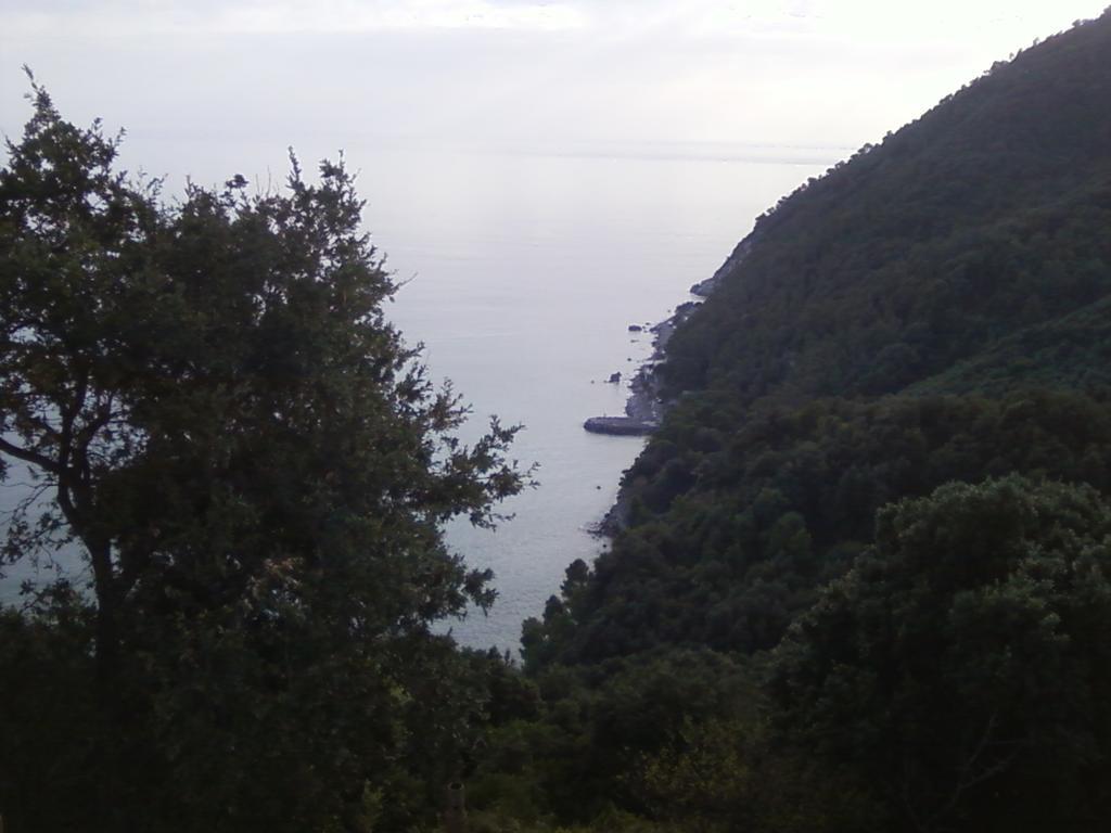 Villa Venino Moneglia Eksteriør billede