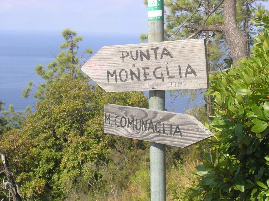 Villa Venino Moneglia Eksteriør billede
