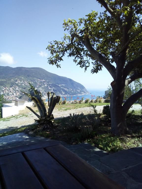 Villa Venino Moneglia Eksteriør billede